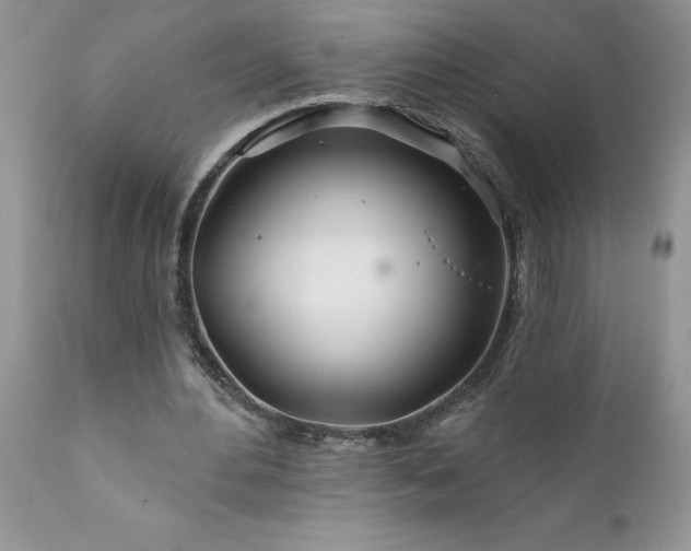 X0000111790484200907301149