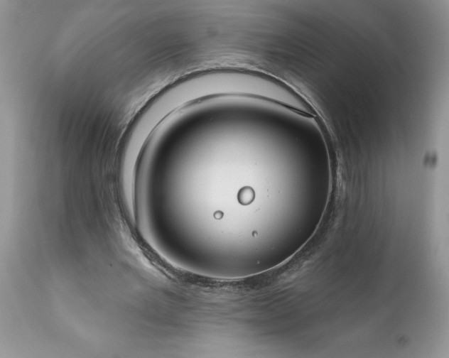 X0000111790485200907301149