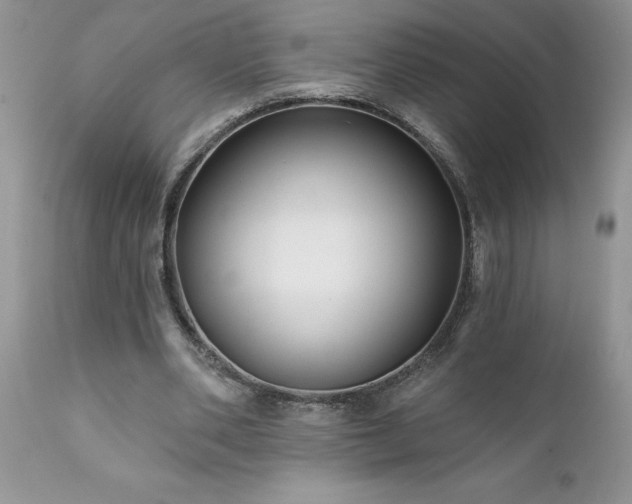 X0000111790486200907301149