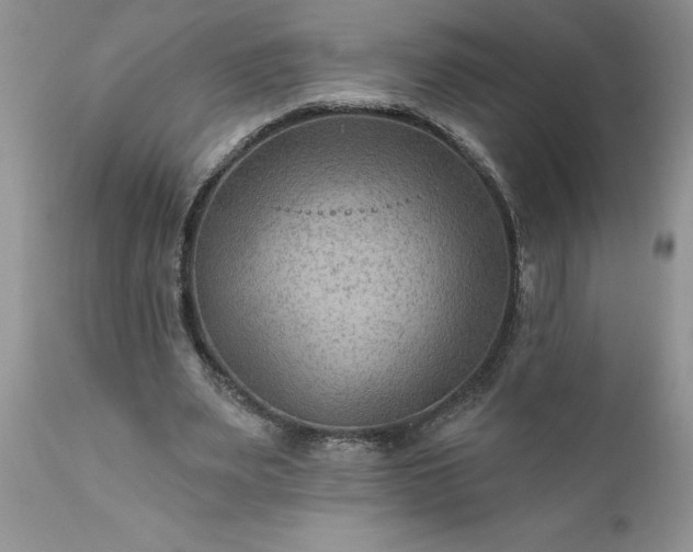 X0000111790487200907301149