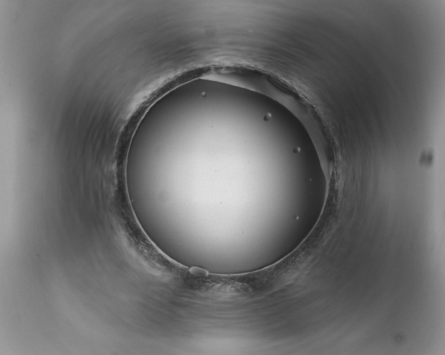 X0000111790488200907301149