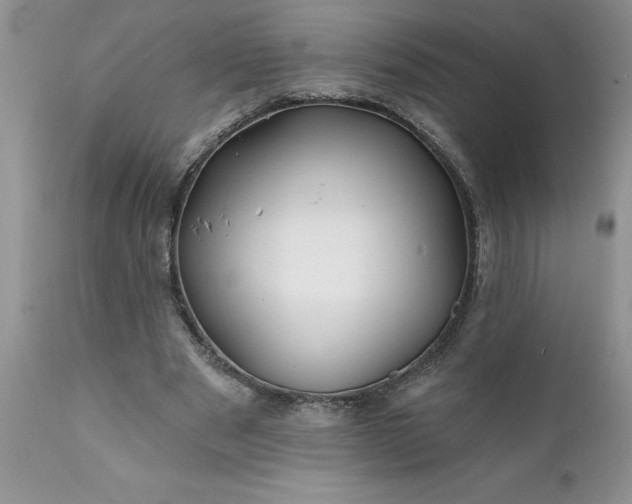 X0000111790489200907301149