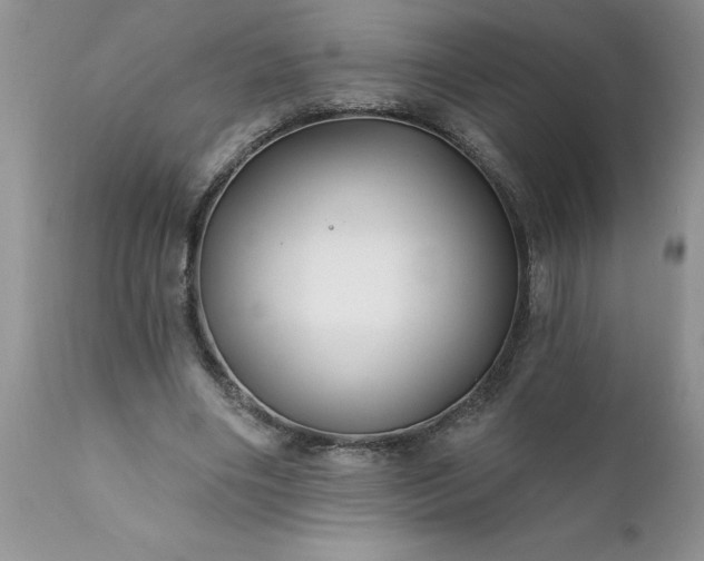 X0000111790490200907301148