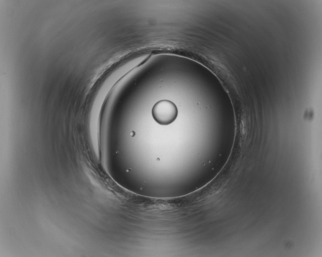 X0000111790492200907301148