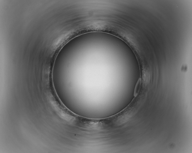 X0000111790493200907301148