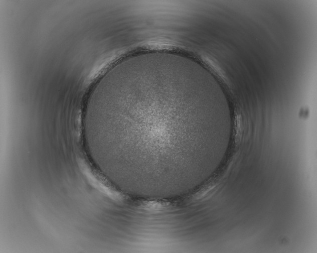 X0000111790494200907301148