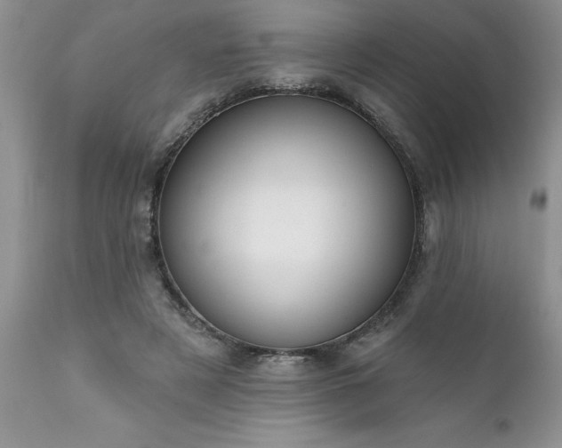 X0000111790497200907301148