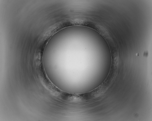 X0000111790498200907301148