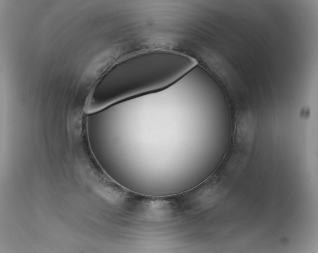 X0000111790501200907301148