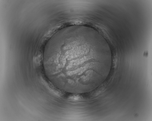 X0000111790503200907301148