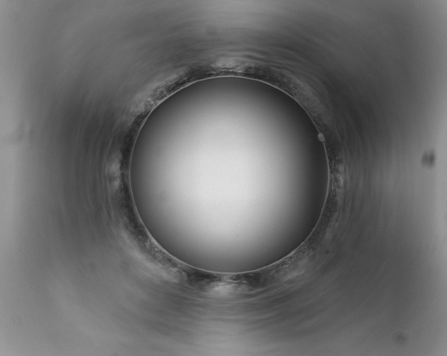 X0000111790504200907301148