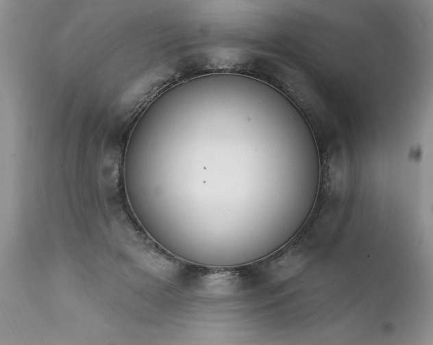 X0000111790505200907301148