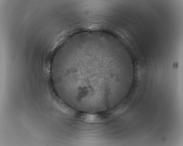 X0000111790507200907301148