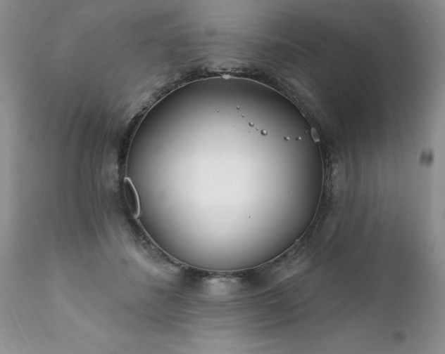 X0000111790508200907301148