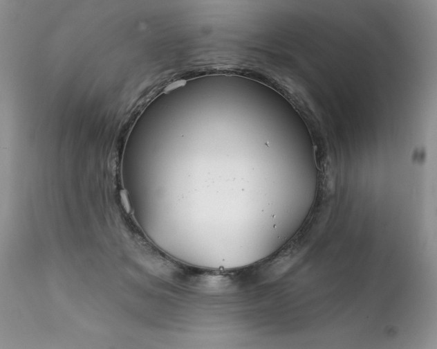 X0000111790509200907301148