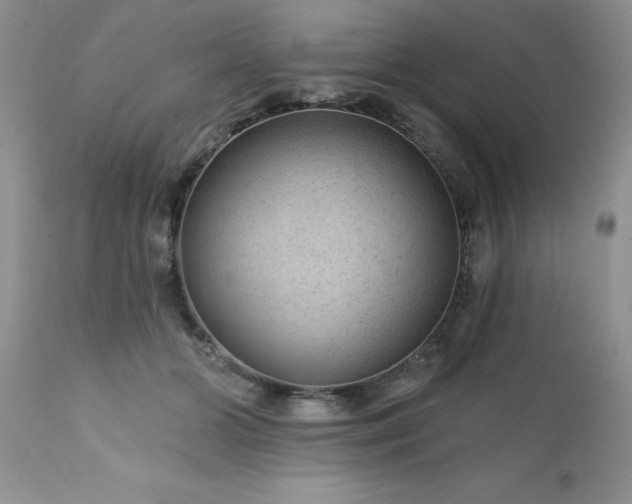 X0000111790510200907301148