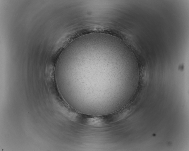 X0000111790511200907301148