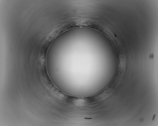 X0000111790513200907301148