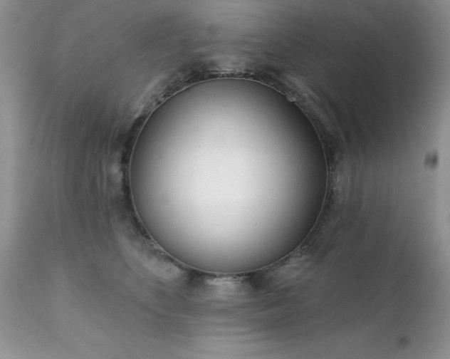 X0000111790516200907301148