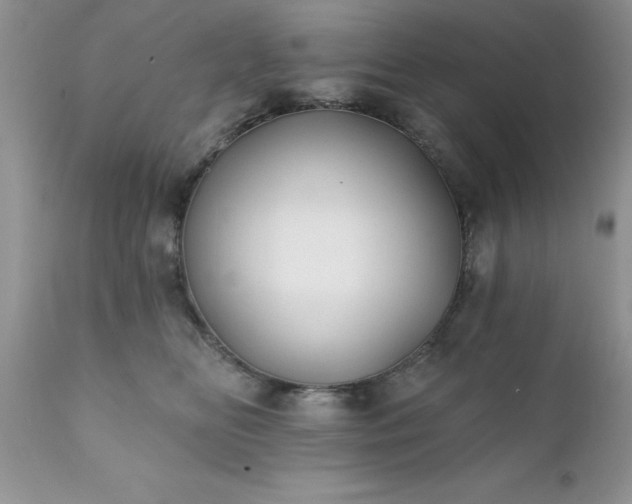 X0000111790518200907301148