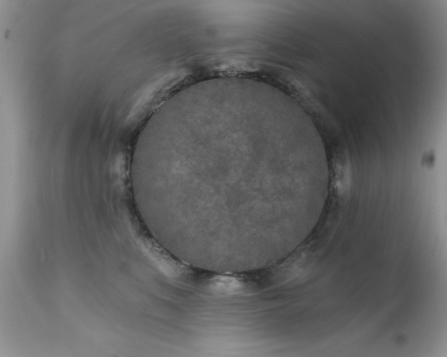 X0000111790519200907301148