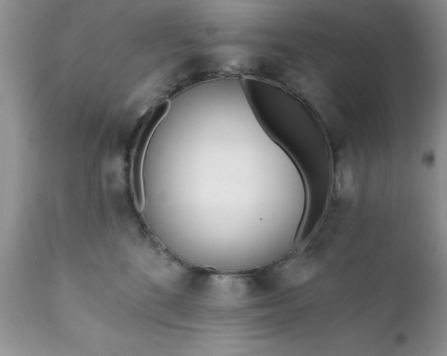 X0000111790520200907301148