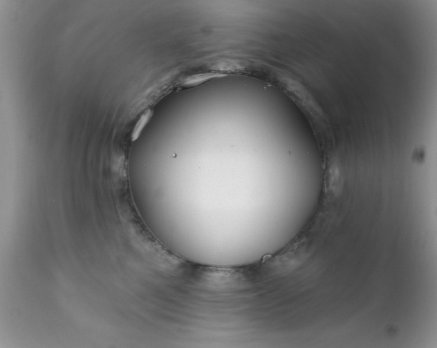 X0000111790521200907301148