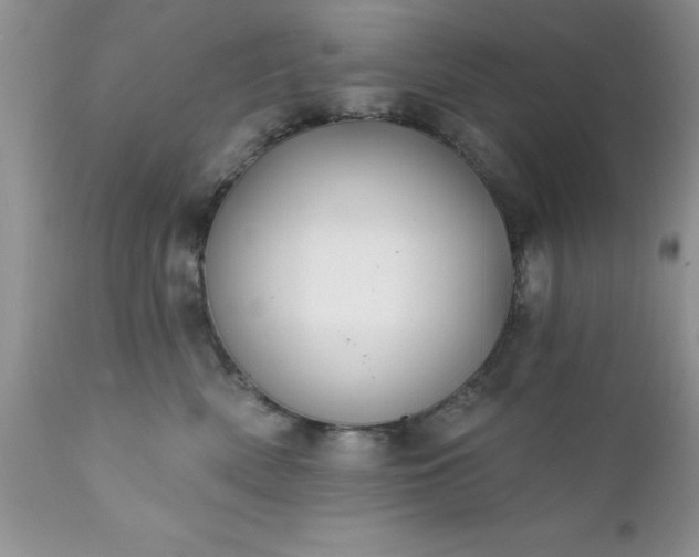 X0000111790522200907301148