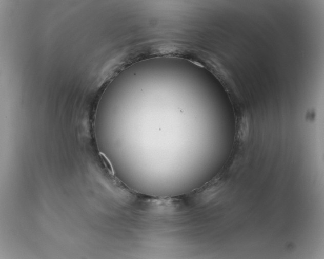 X0000111790524200907301148