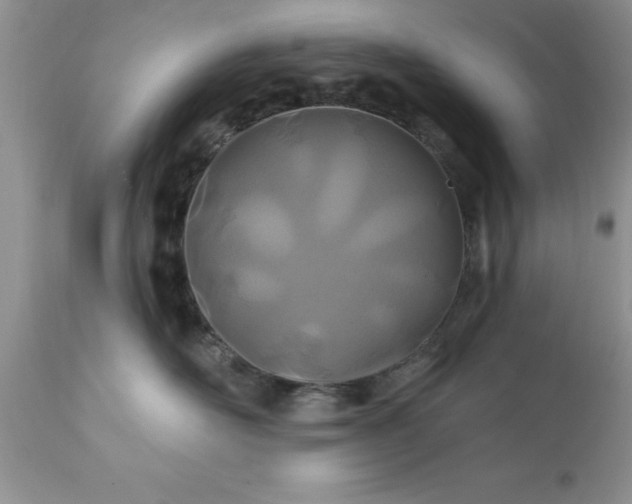 X0000111790526200907301148