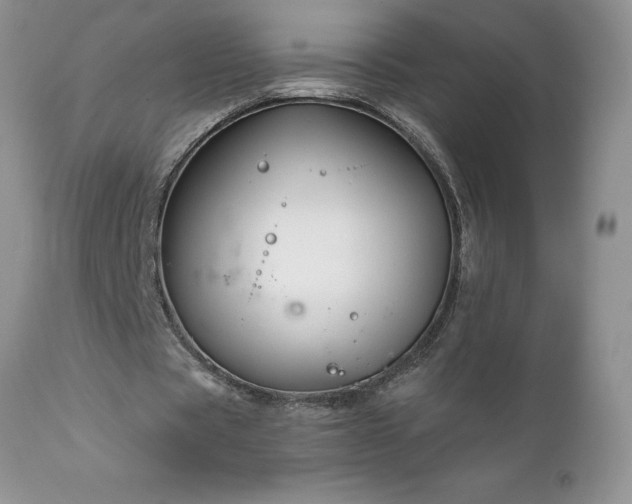 X0000111790529200907301147