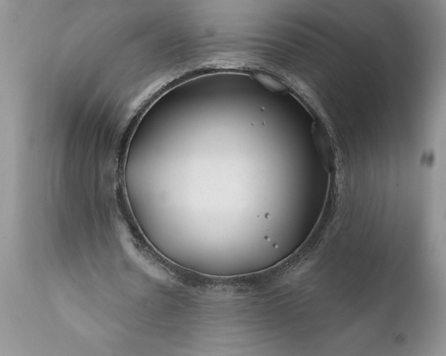 X0000111790530200907301147