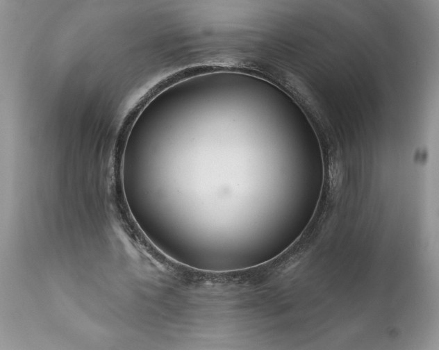 X0000111790532200907301147