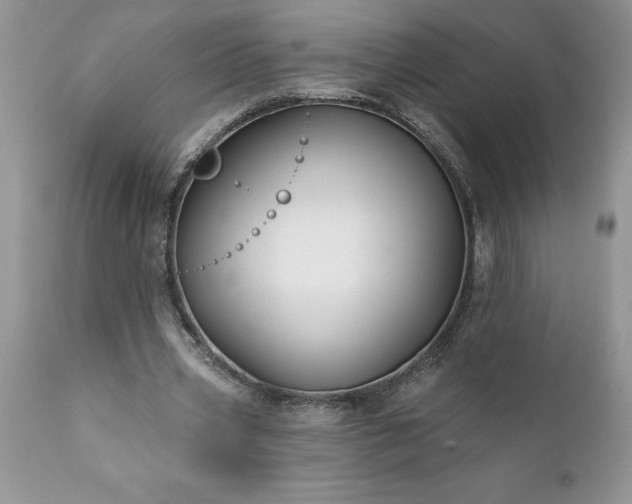 X0000111790533200907301147