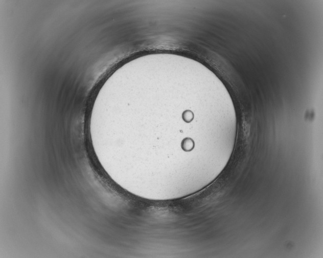 X0000111790534200907301147