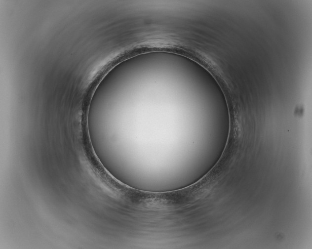 X0000111790535200907301147