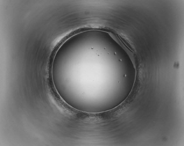 X0000111790536200907301147