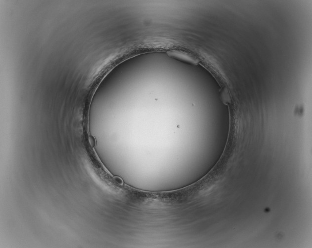 X0000111790538200907301147