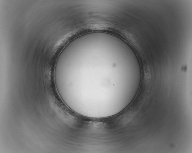 X0000111790539200907301147