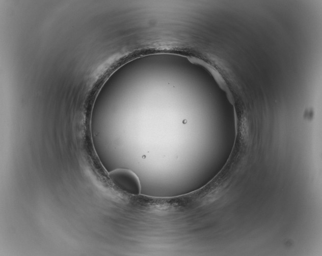 X0000111790540200907301147