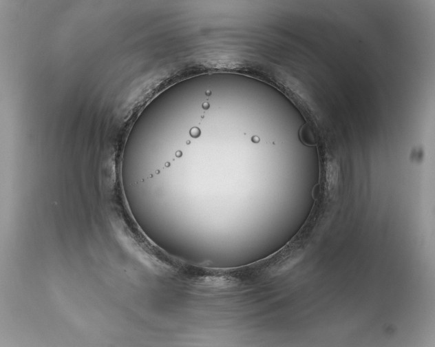 X0000111790541200907301147