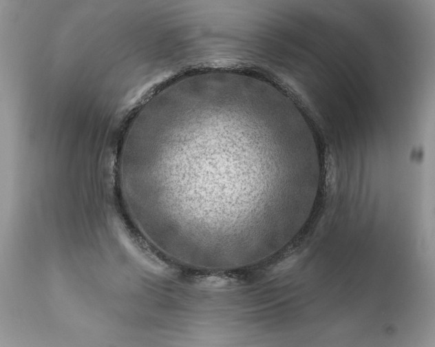 X0000111790542200907301147