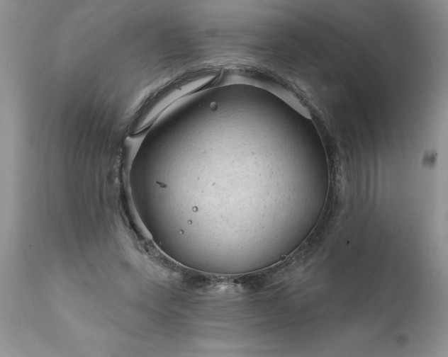 X0000111790543200907301147