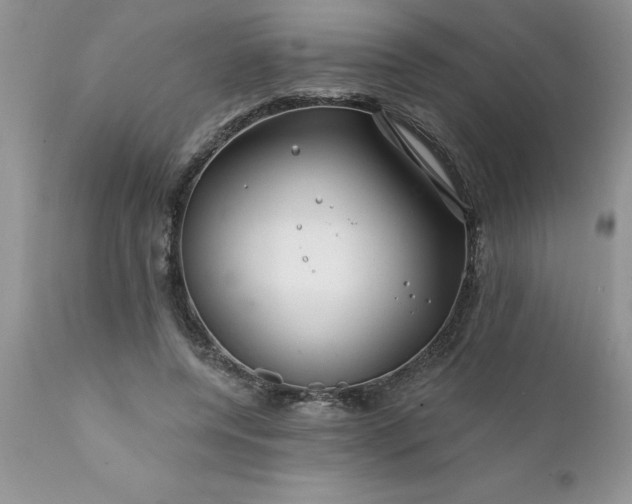 X0000111790544200907301147