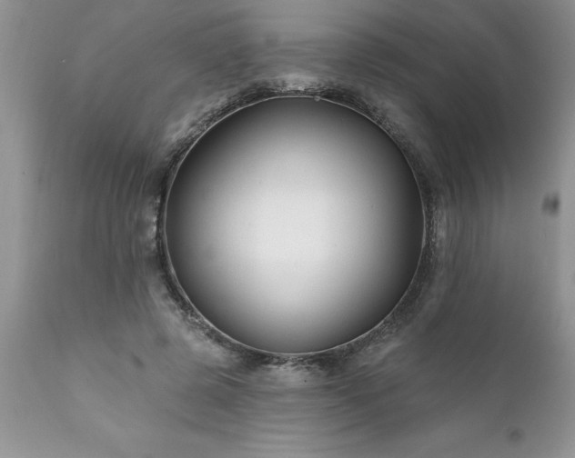 X0000111790545200907301147