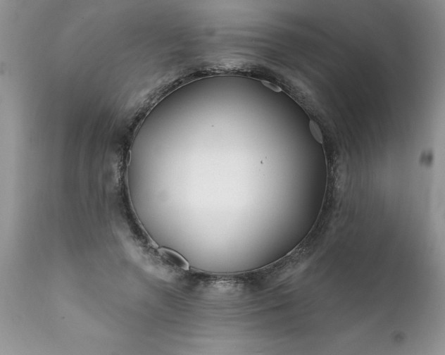 X0000111790546200907301147