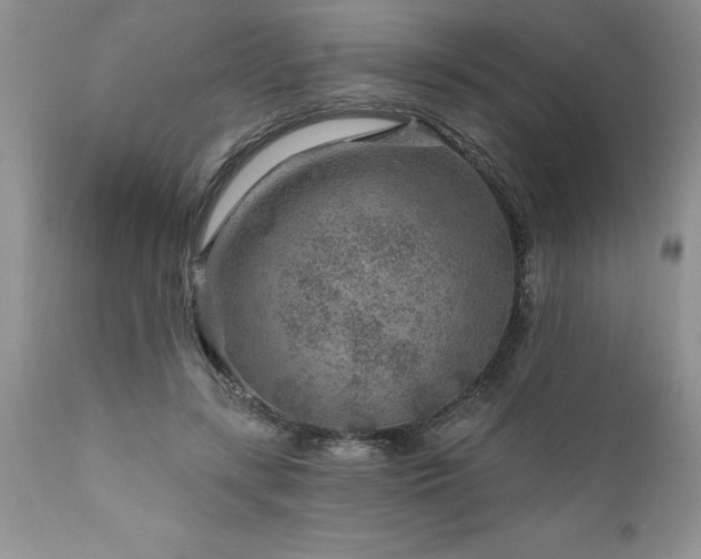 X0000111790547200907301147