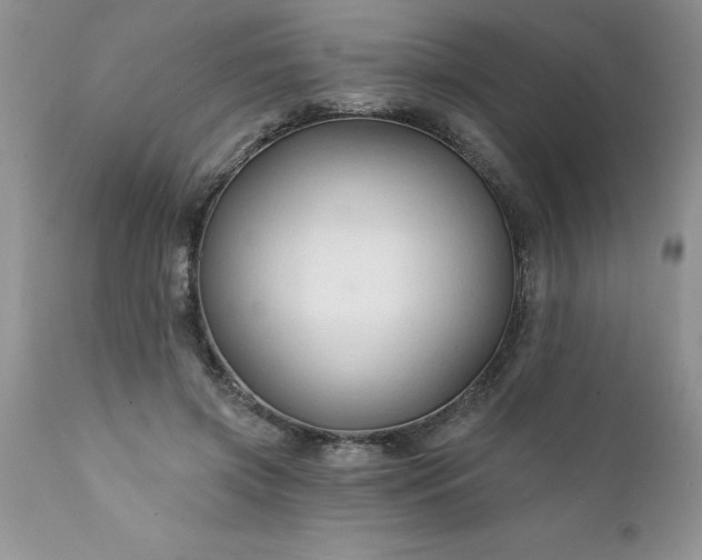 X0000111790549200907301147