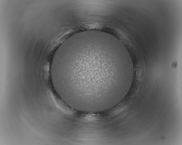 X0000111790550200907301147