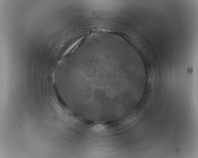 X0000111790551200907301147